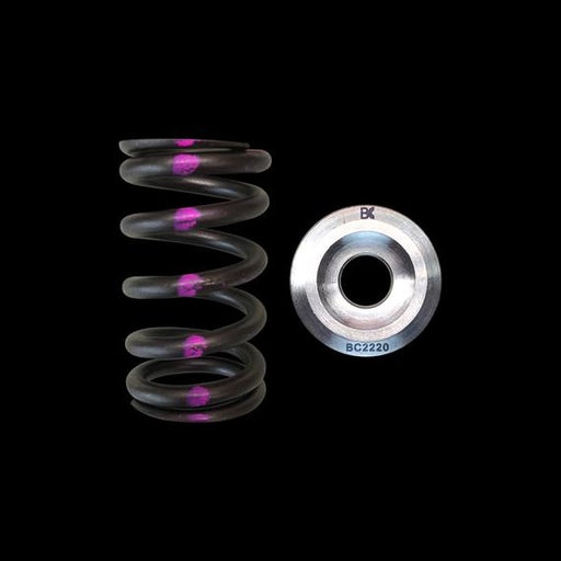 Brian Crower Nissan QR25DE Single Spring/Titanium Retainer Kit