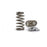 Kelford Cams KVS35-BT Nissan VQ35 Beehive Spring & Retainer Set